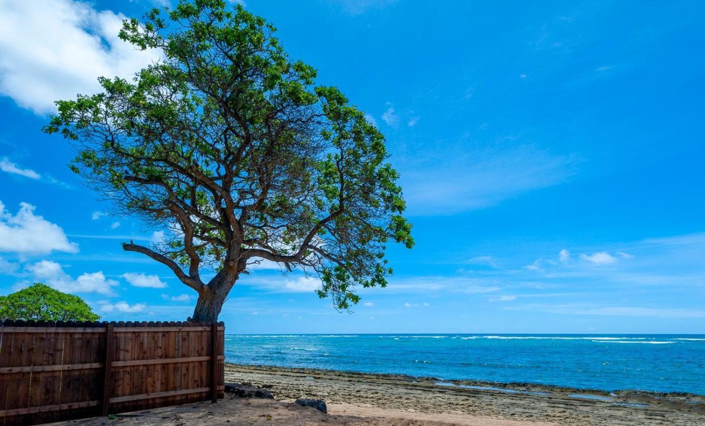 Апартаменты Kauai Kailani 218 Капаа Экстерьер фото